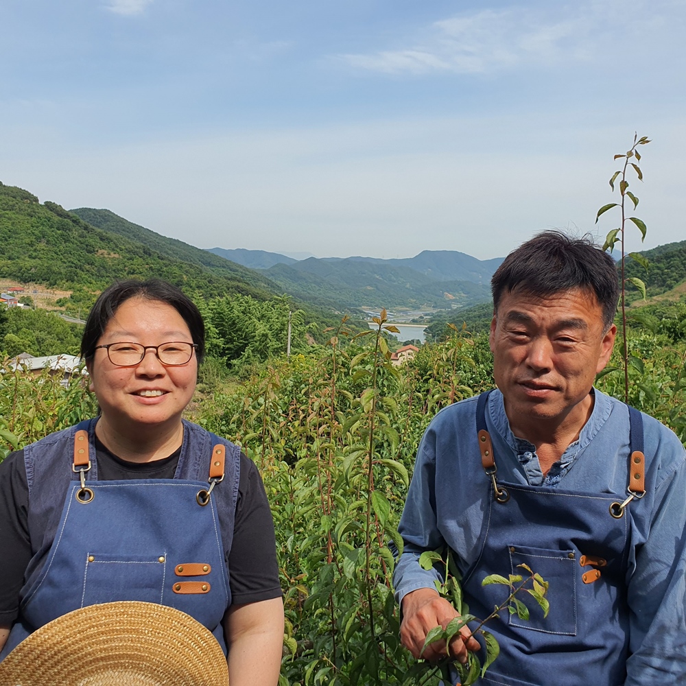 [해밀농원] 봄앤향황매실 하동매실 원액 황매실청 1000ml : 우리파머스