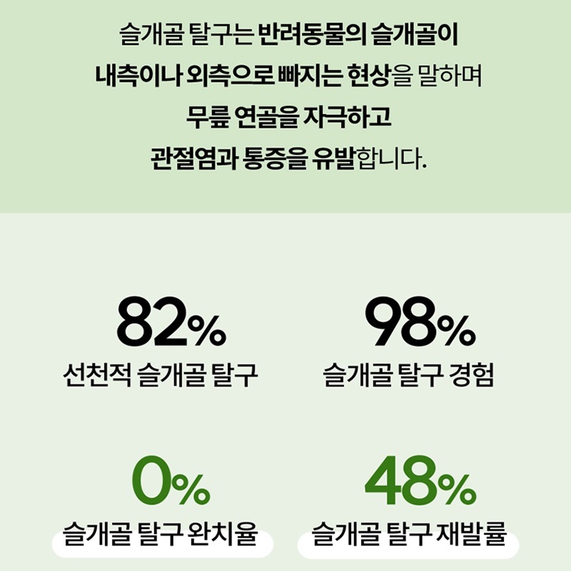 나우펫 관절 : 건강터