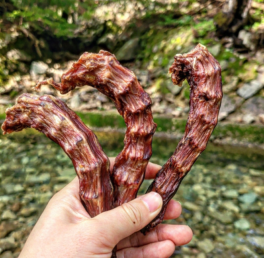 강아지 오리목뼈500g 대용량 반려견 보양식 강아지수제간식 : 대한견식