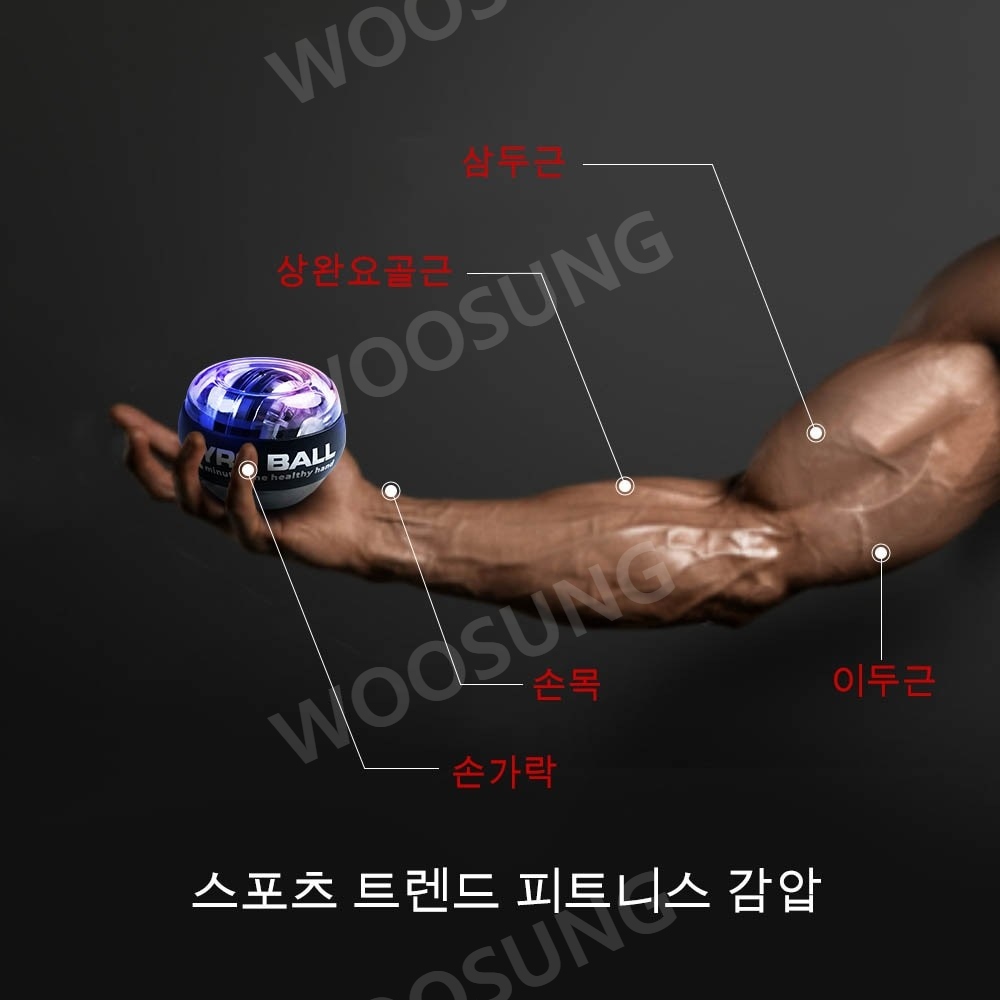 손목 팔 근육 트레이너 볼 LED 자이로스코픽 파워볼 : 다이스미데이
