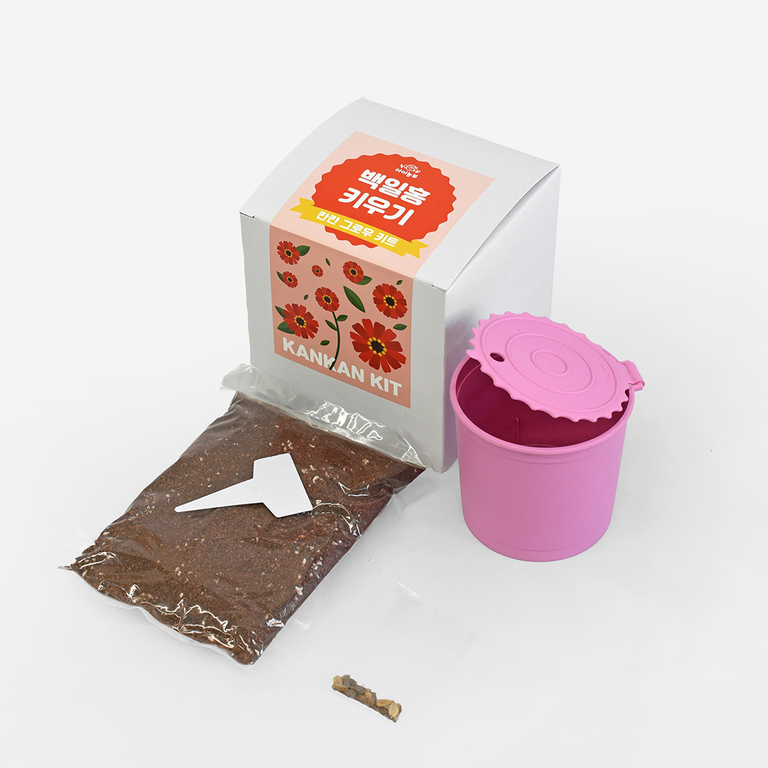 아이농부 칸칸 그로우 키트 백일홍 꽃 씨앗 유치원 초등 방학 숙제 키우기 재배 키트 : 마이플랜트