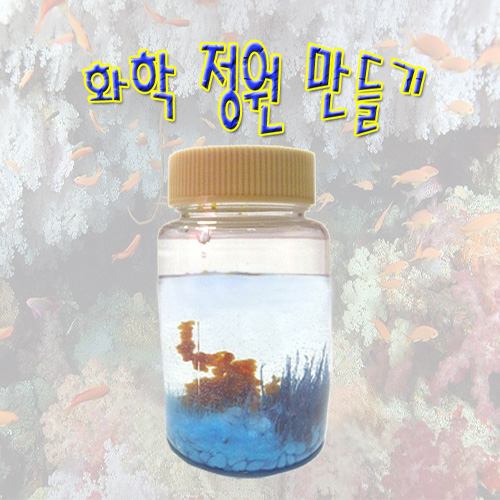 화학정원 만들기 (5명 1세트) : 사이언스몰