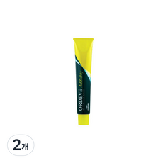 밀본 일반염색제(멋내기) 올디브 어딕시 스탠다드 라인 염색제 13 그레이펄 2개 : 가심비 마켓 가성비 정품
