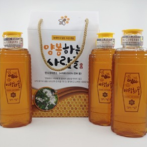 야생화꿀 500g x 3병 (100%숙성생꿀) : 양봉하는사람들