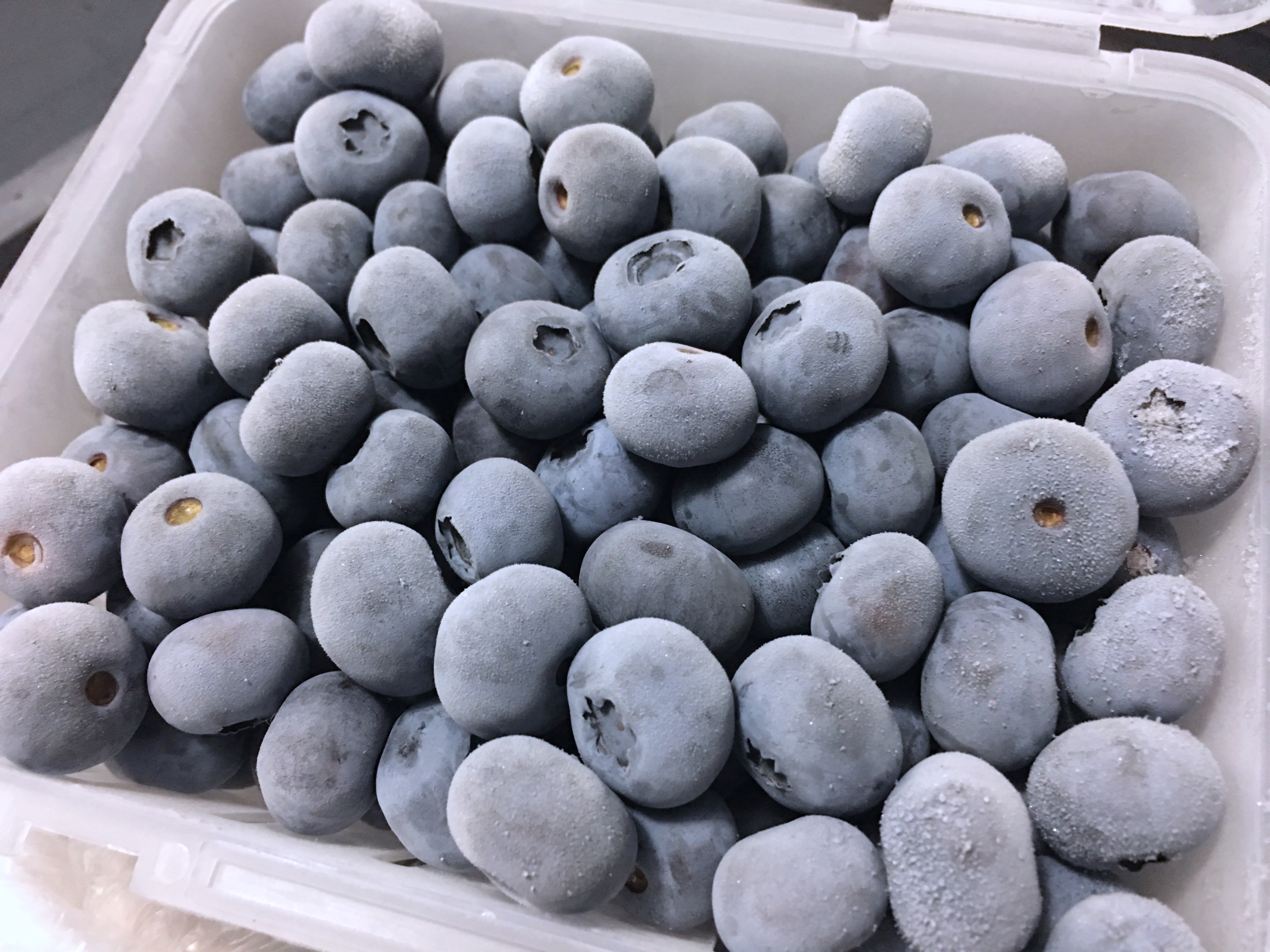 [홍천블루베리팜] 강원도 무농약 세척 냉동블루베리 국산 1kg : 홍천 블루베리팜