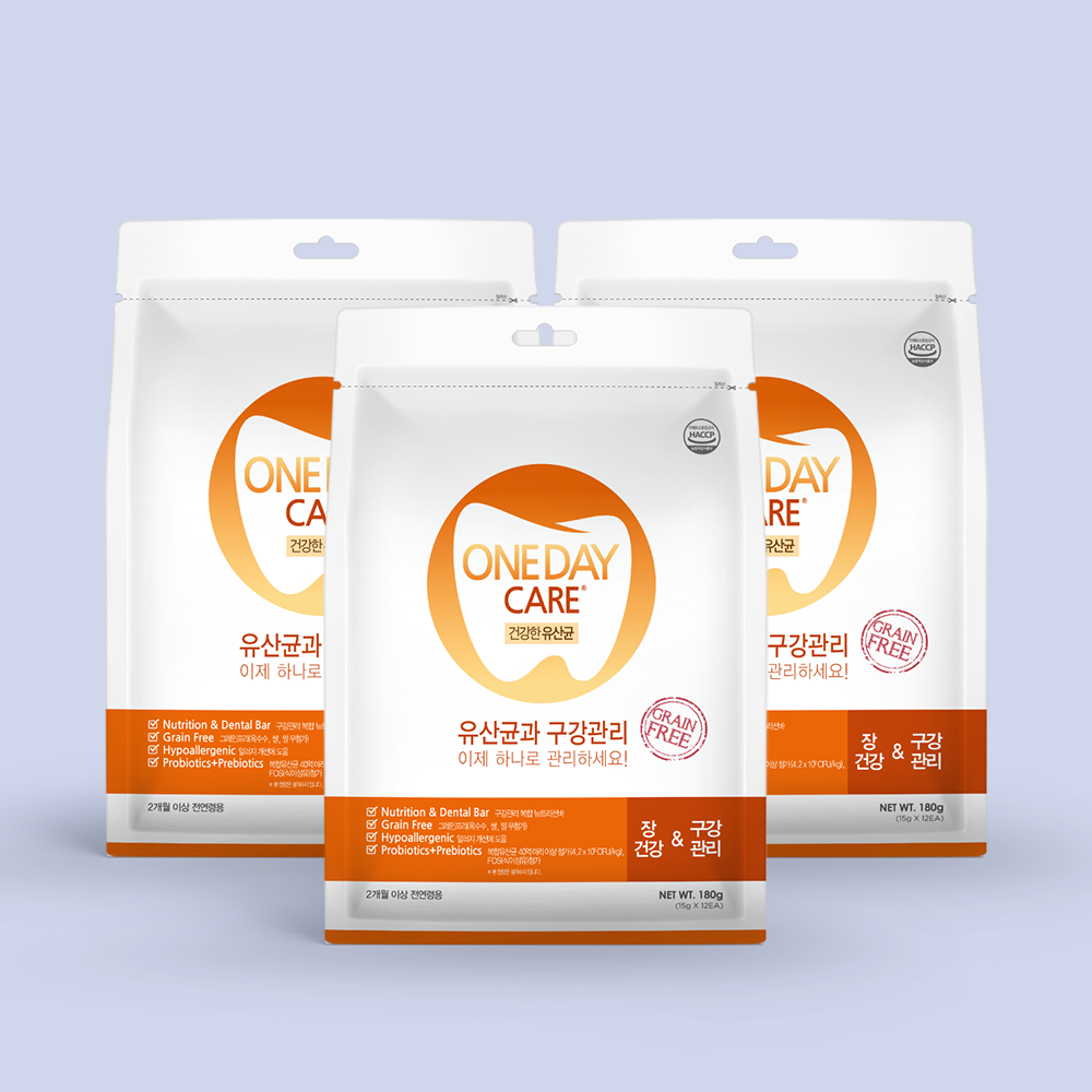 원데이케어 덴탈껌 유산균 15gx12개입 x 3팩 (36p) : 카길 펫푸드 스토어