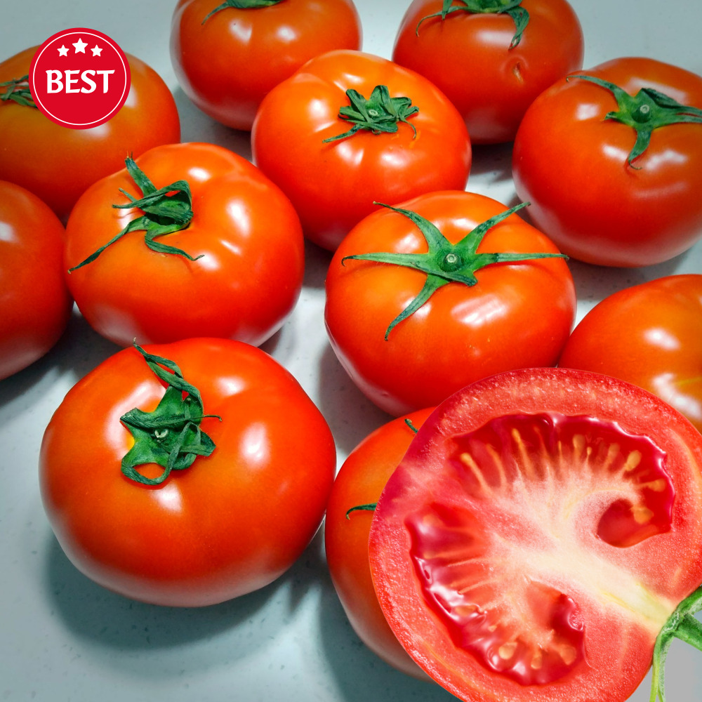 맛있는 완숙 토마토 10kg 10키로 찰토마토 강원도 제철 tomato 샌드위치용 : 세이브마스터