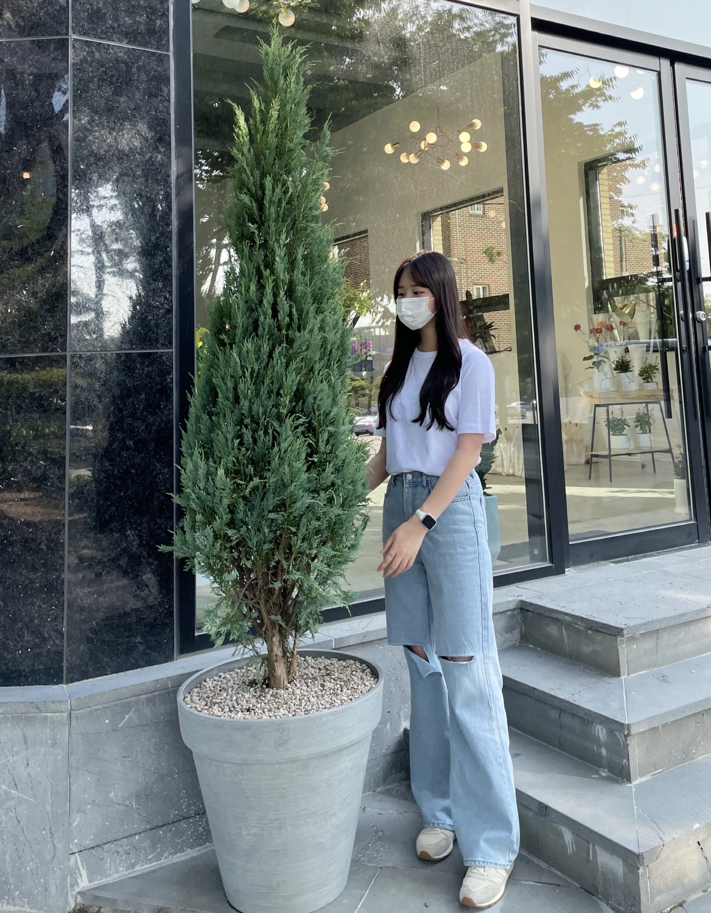 문그로우 1.0m 대형 상록수 울타리 향나무 묘목 농원 조경나무 상록수 : 그린나무마켓