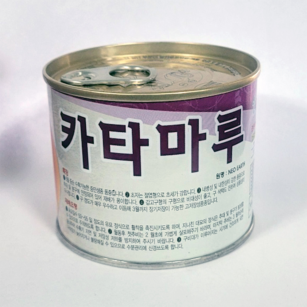 [모종심는아빠] 갑고풍원형의 크고 단단함이 좋은 저장 양파 카타마루 종자 100g : 모종심는아빠