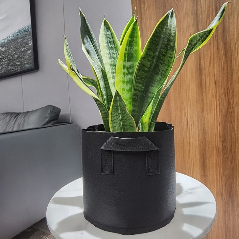 부직포화분 집에서 상추 감자 당근키우기 옥상 베란다텃밭 블랙 대형 60cm : 은행나무몰