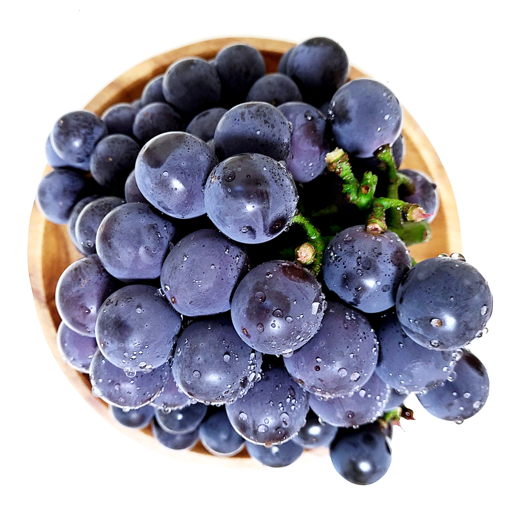 프리미엄 거봉 포도 1kg 2kg 4kg 특상품 김천 상주 경북포도 : 허니유통