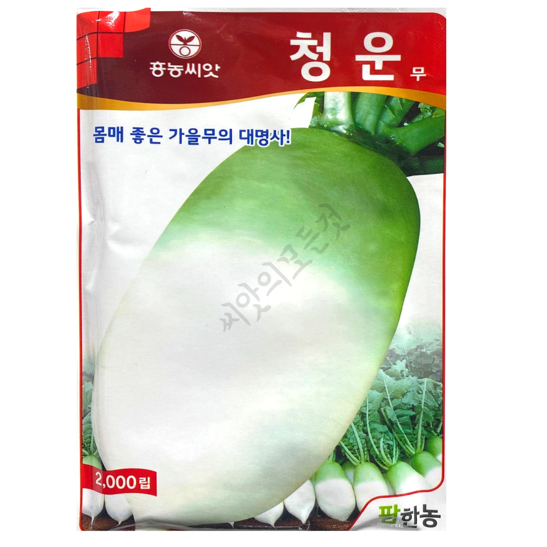 김장무씨앗 종자 청운무씨앗 무씨 2000립 가을 25년 : 씨앗의모든것