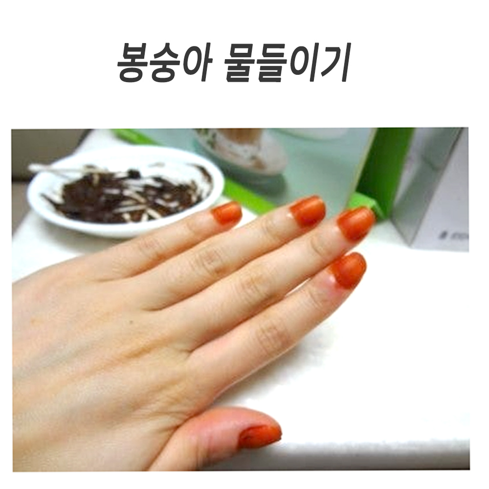 첫사랑을 추억하며 손톱 봉숭아 손톱 물 들이기 세트 - 봉선화 꽃물 : 오늘은 네일데이
