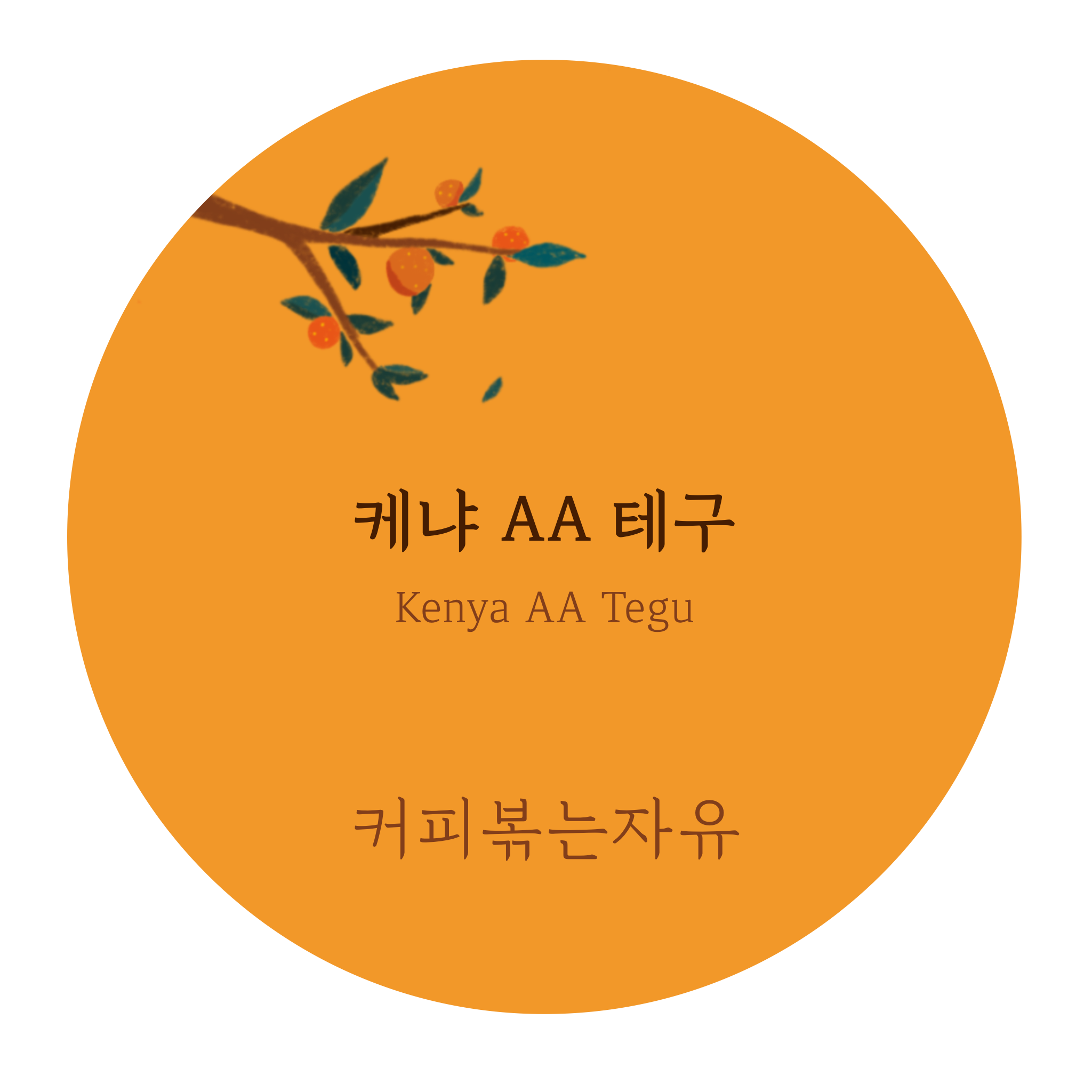 [커피볶는자유 싱글오리진 드립백] 케냐 AA 콘유 10개 : 커피볶는자유
