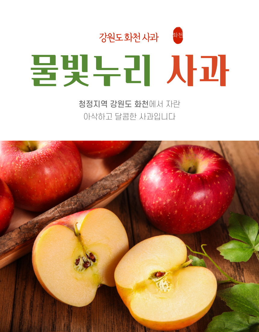화천사과 5kg 특상품 선물용 : 화천농부들 농산물로컬카페