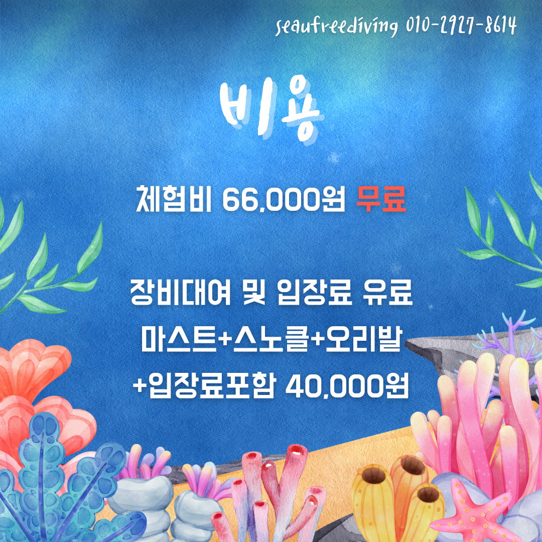 9월 프리다이빙 체험권(동두천알뜰맘 제휴) : 씨유 프리다이빙