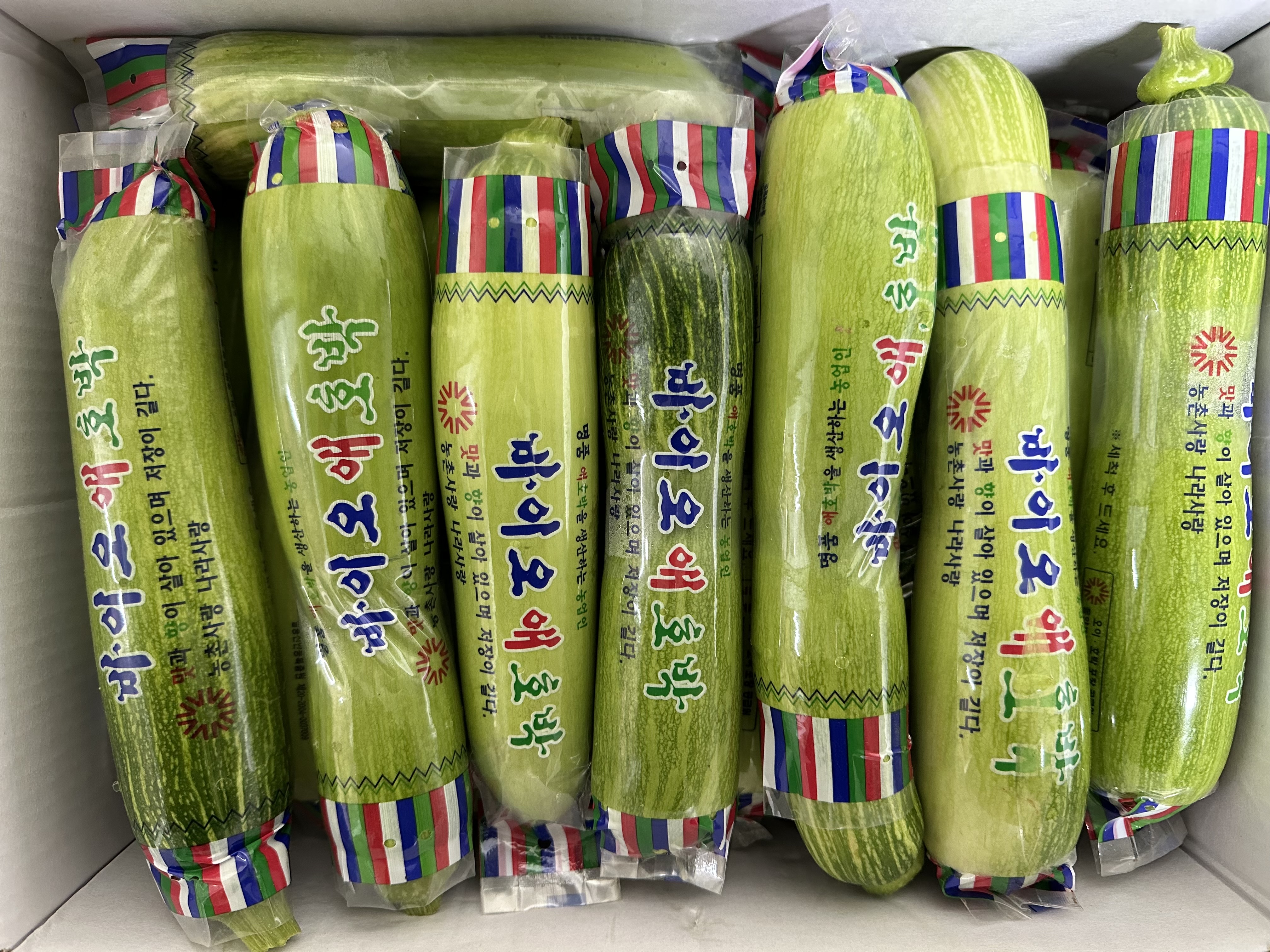 백광농장 국내산 애호박(보통) 1박스 20개입 : 백광농장