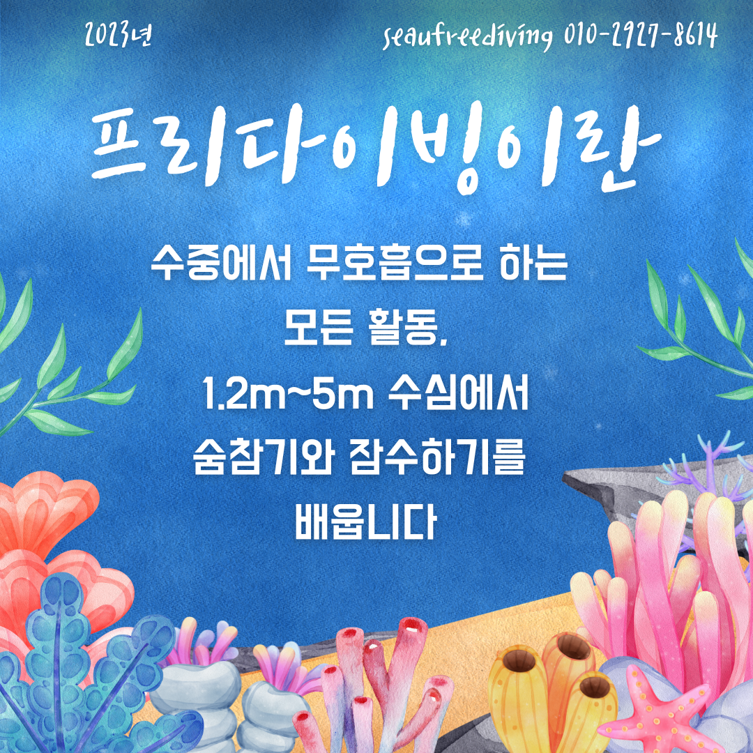 9월 프리다이빙 체험권(동두천알뜰맘 제휴) : 씨유 프리다이빙