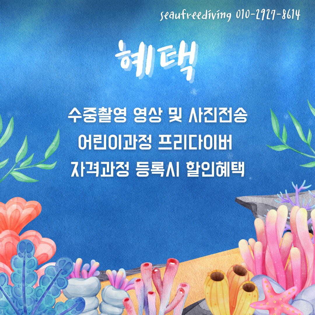 9월 프리다이빙 체험권(동두천알뜰맘 제휴) : 씨유 프리다이빙