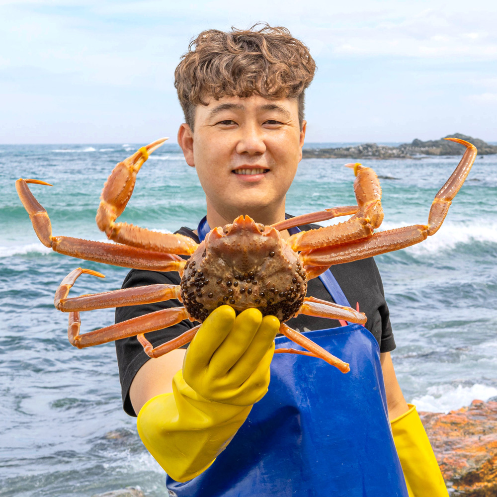 [선주직판] 국내산 포항 대게 제철 박달 대게 연지 홍게 게 : 남양수산 이프로 마켓