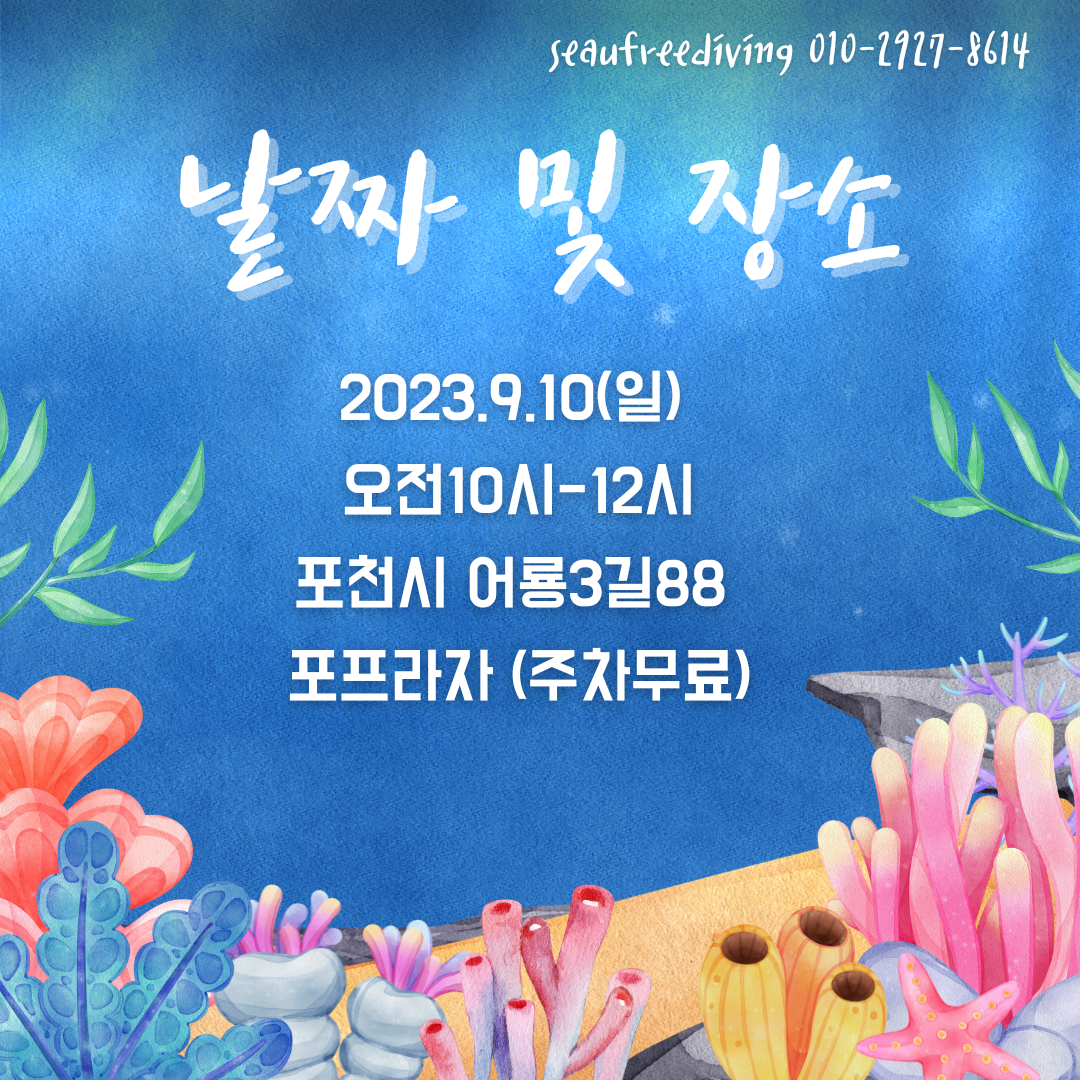 9월 프리다이빙 체험권(동두천알뜰맘 제휴) : 씨유 프리다이빙