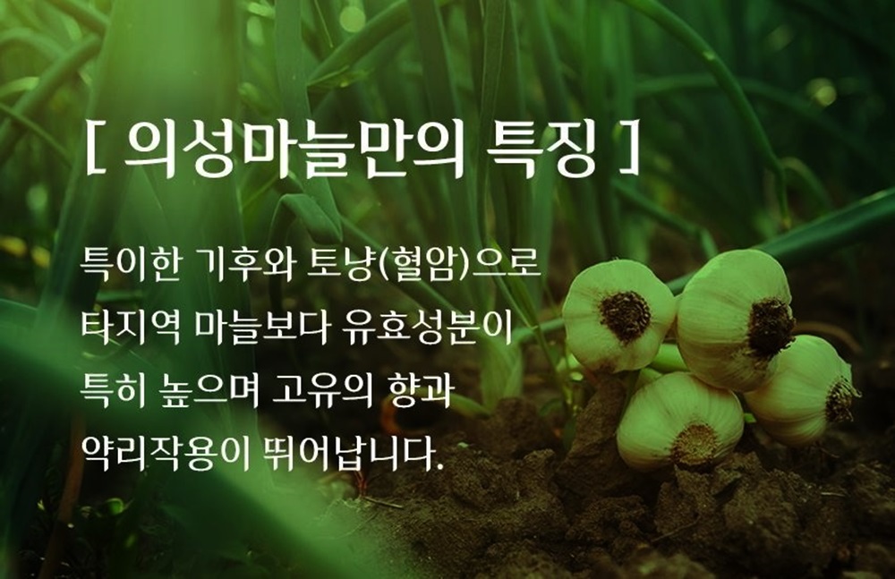 흑마늘 진액골드 60mlX30포 선물세트 어버이날 선물 의성명품 직장회사직원 추석설날명절 : 발효커피
