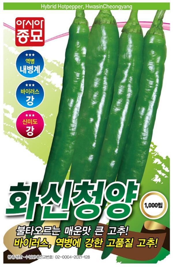 고추씨앗종자 화신청양 1000립 asa : 티홈