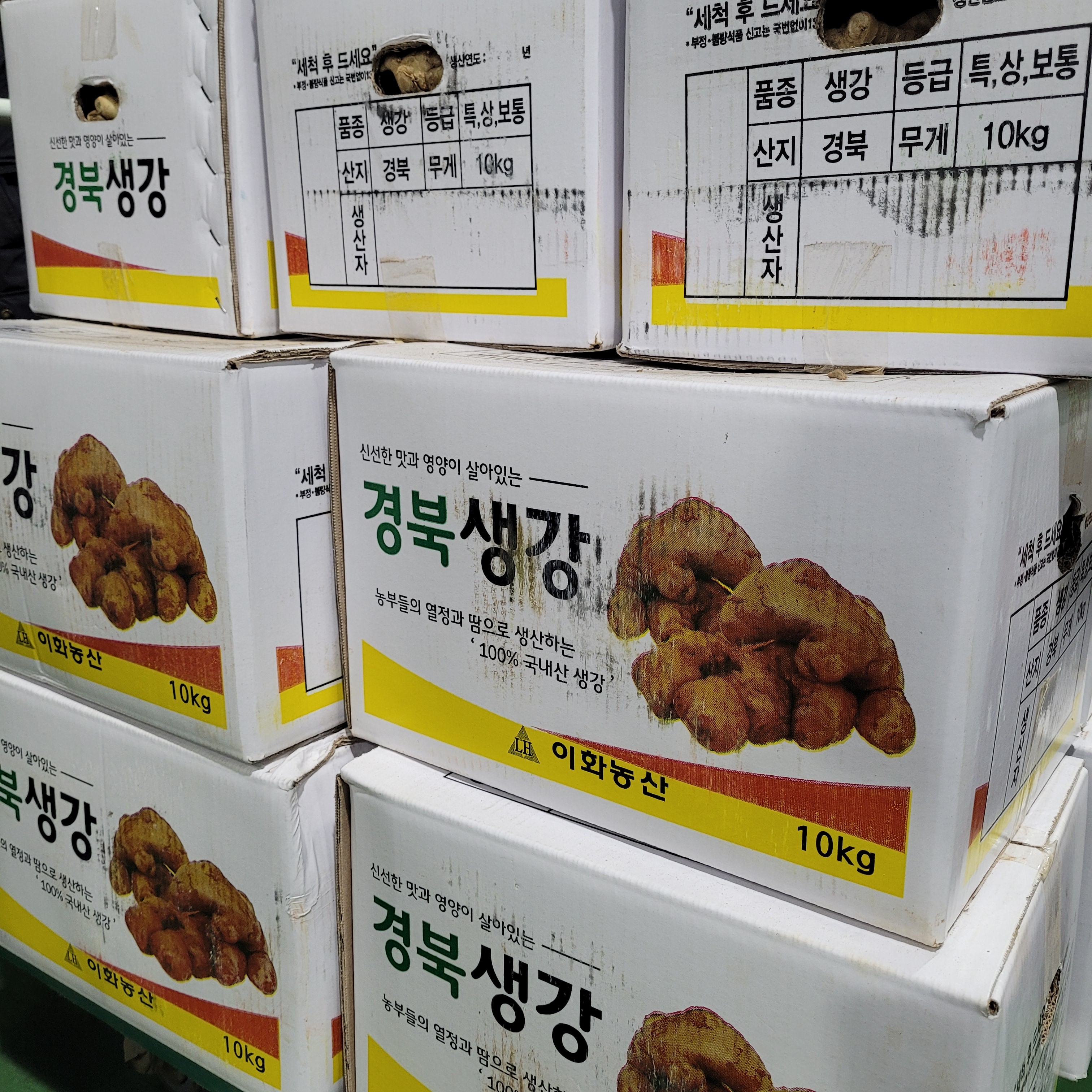 국내산 경북 햇생강 흙생강 최상품 특품 청조농산 : 청조 올바른 먹거리