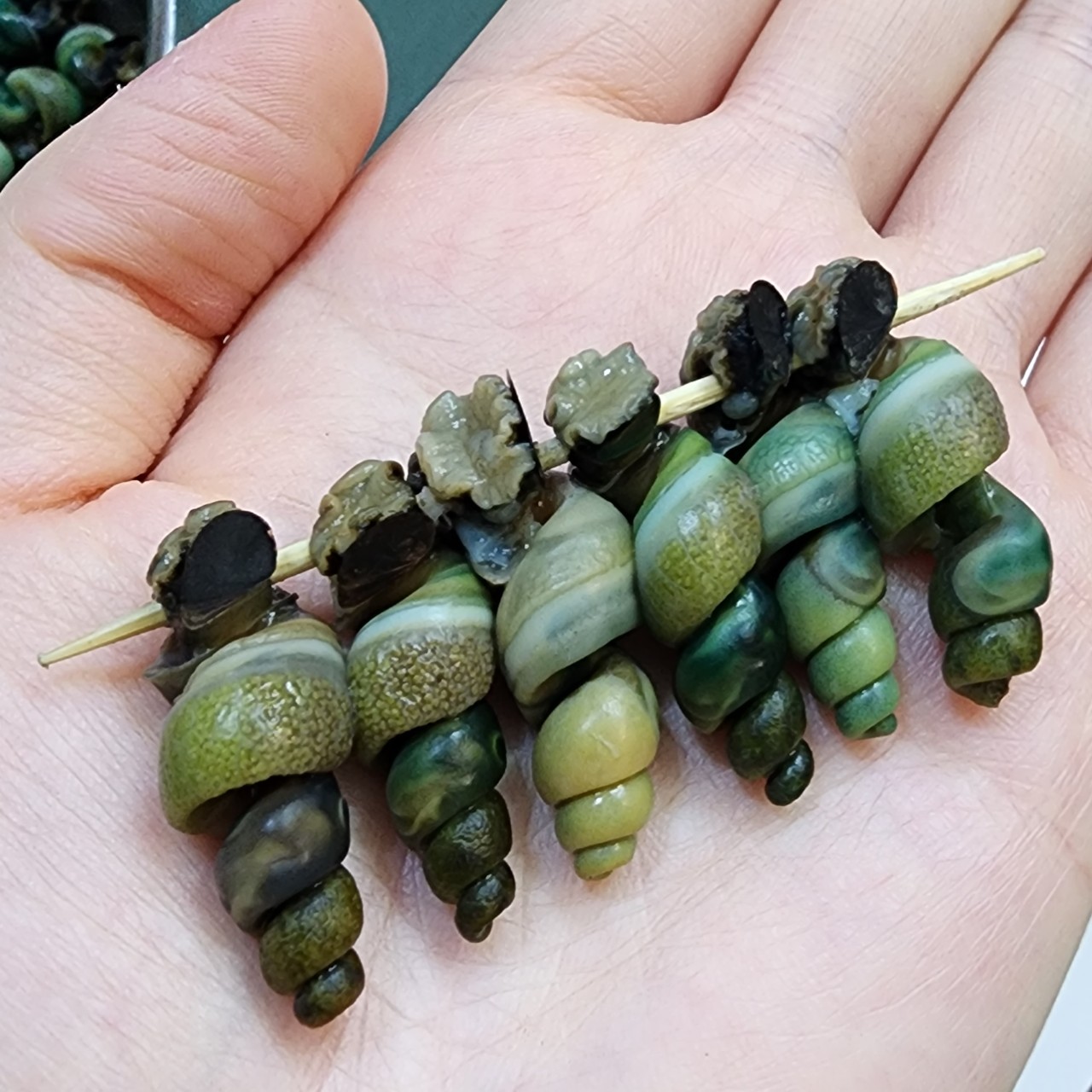 아빠랑 딸이 직접잡아서 보내드리는 자연산 다슬기 : 민주 농원