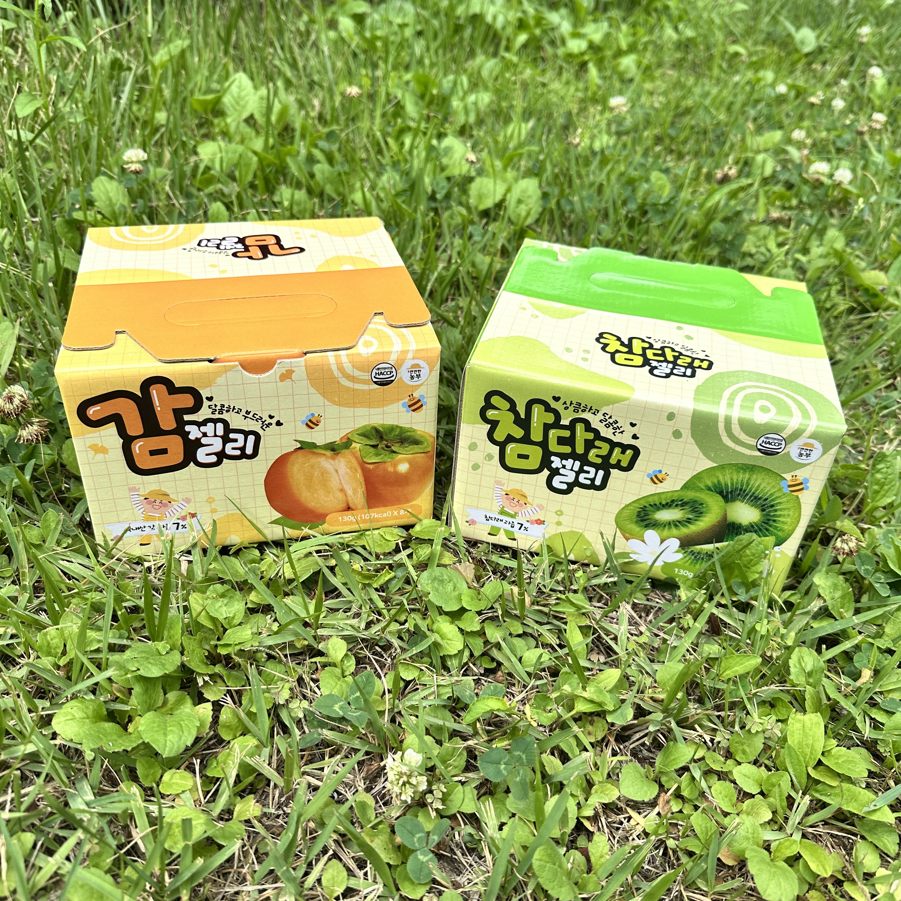 참다래 과일 젤리 후르츠젤리 감 130g x 8개입 : 뉴빔