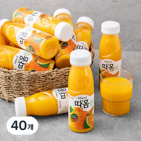 따옴 기타과즙음료 청귤 앤 한라봉 앤 천혜향 주스 235ml 40개 : Super Fresh