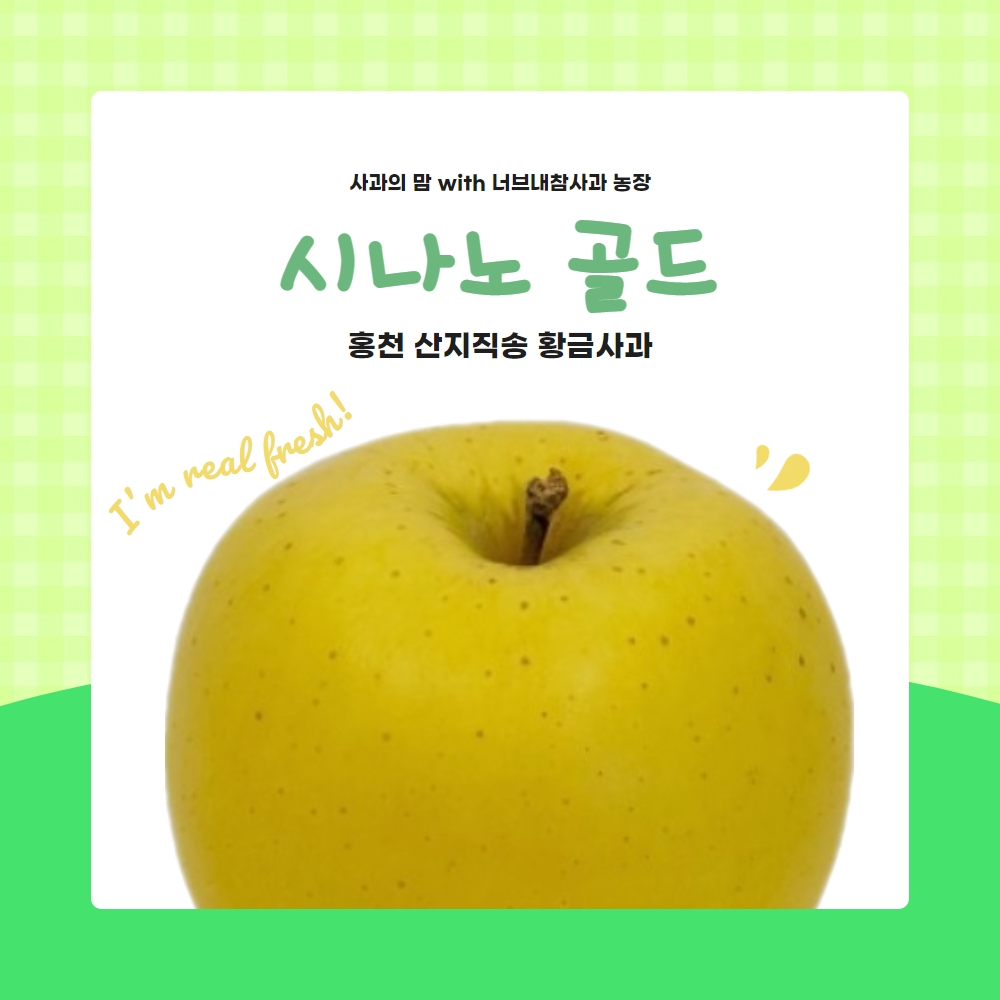 홍천 시나노골드 사과 4kg 5kg 10kg 황금사과 홍천사과 강원도사과 너브내참사과 농장 산지직송 : 사과의맘