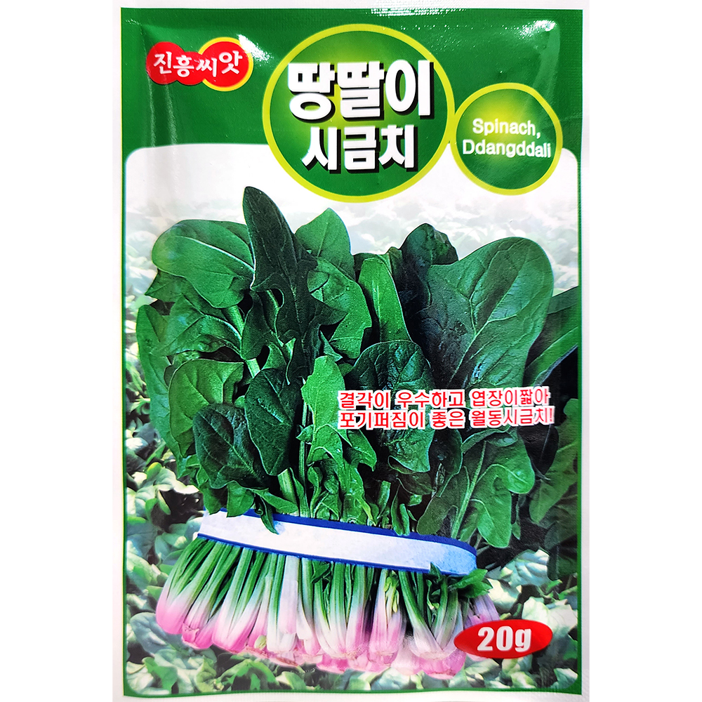 땅딸이 시금치 20g : 중앙종묘농약사