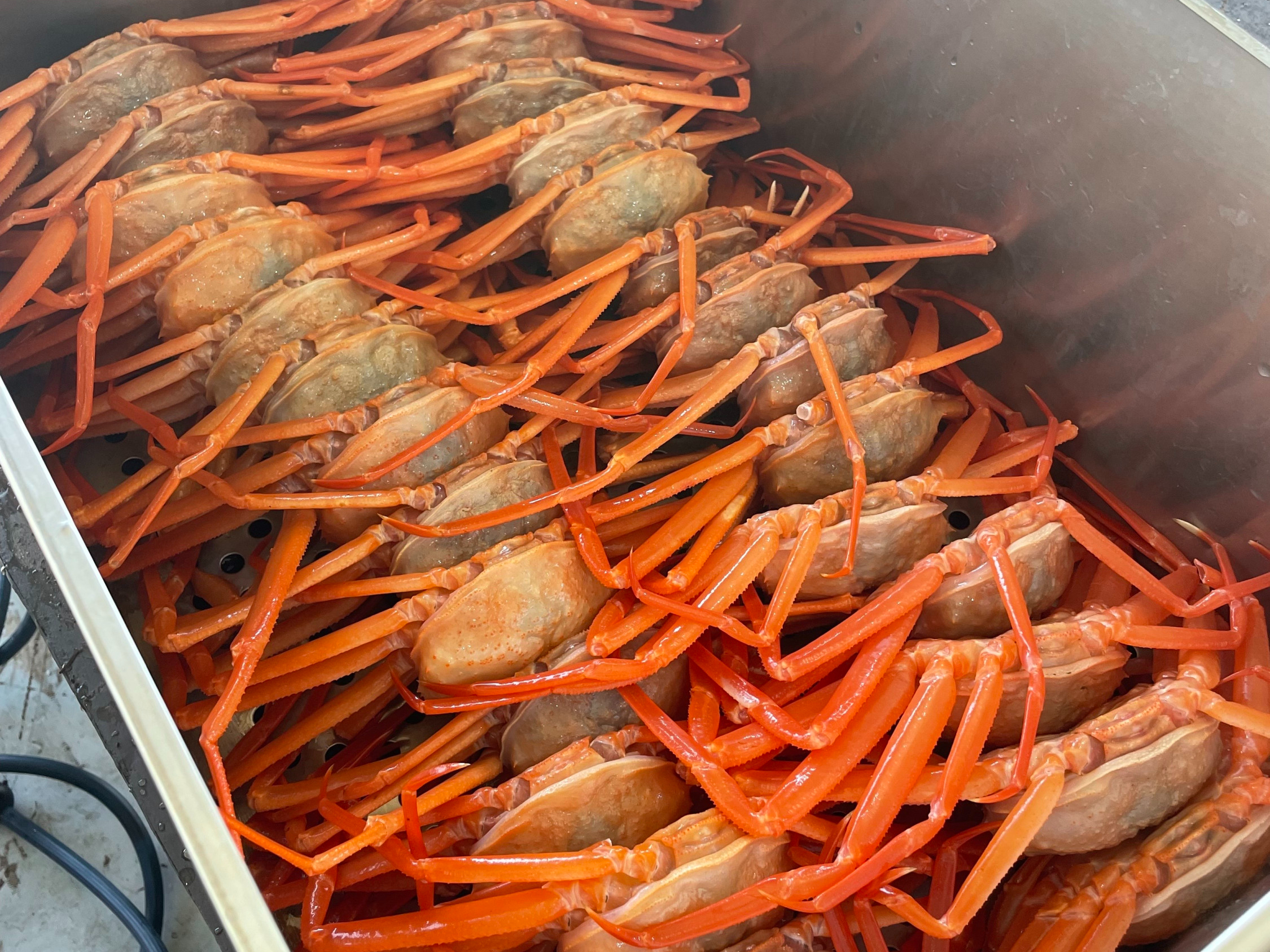 포항 구룡포 프리미엄 홍게 2kg / 3kg 수율 80% 대게 박달 자숙 수율보장 : 통영은정수산