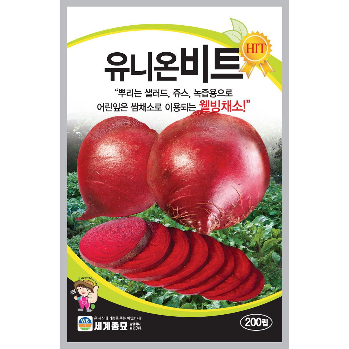 야채 가을 모종 씨앗 모음 종자 김장 뿌리채소 쌈채소 청아무 15g 키우기 대성식물 : 대성식물