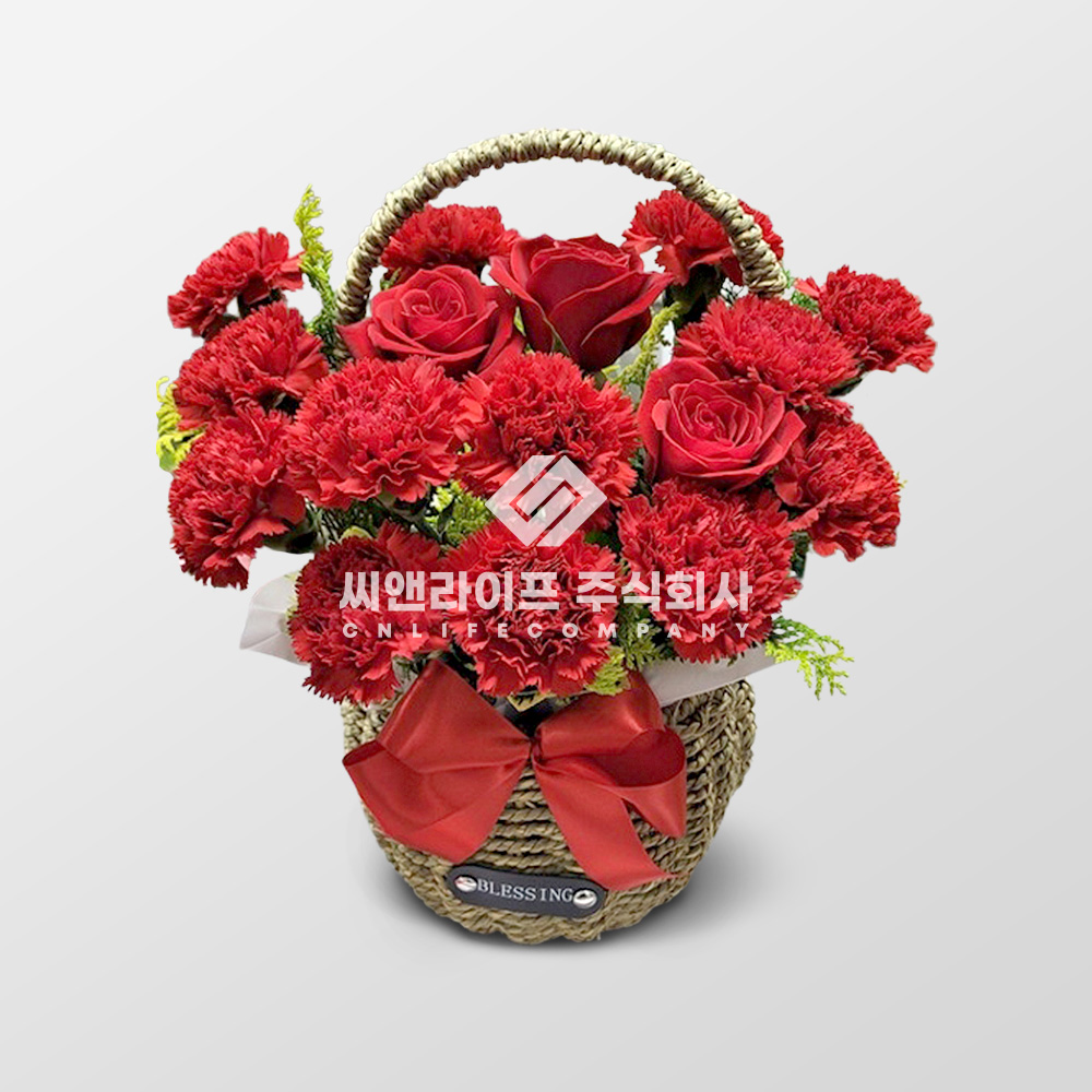 꽃바구니 꽃보다 그대 결혼 생일 기념일 출산 특별한날 : 꽃집언니들