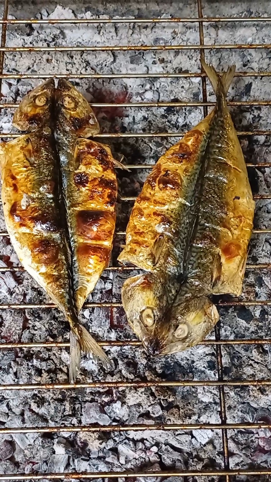 [섬마을어부] 참숯 숯불 생선구이 5종모음 수제 명절선물 밥반찬 구운생선 고흥 맛집 : 고흥숯불생선구이섬마을어부