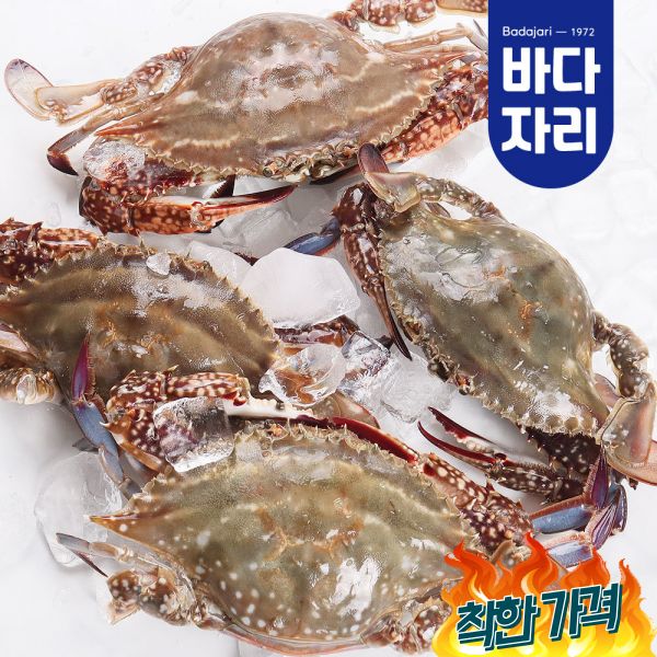산지직송 서해안 가을 제철 생물 햇꽃게 1kg 빙장포장 : 초록소리