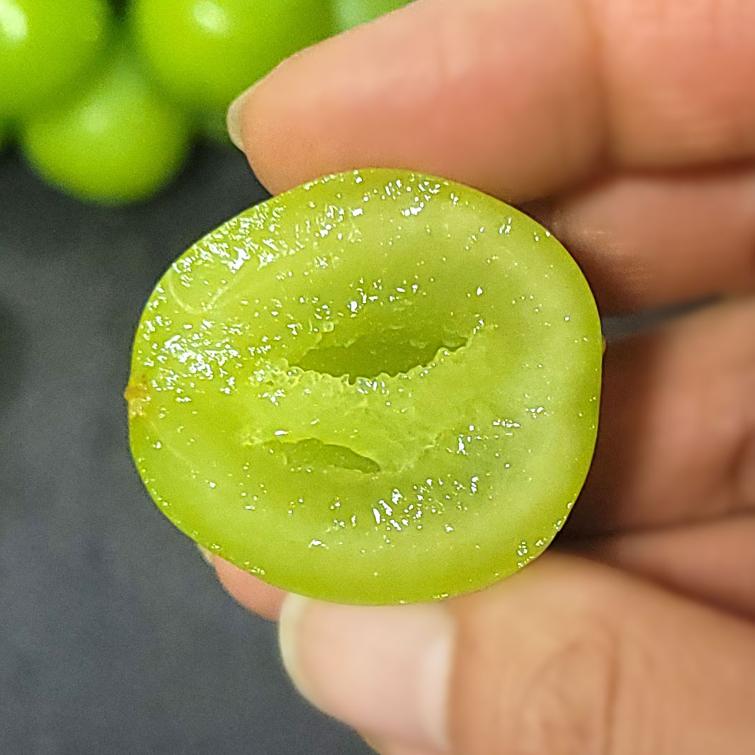 [농장직송] 프리미엄 샤인머스켓 고당도 망고포도 2kg 3수,4~5수 : 쏘울다이닝