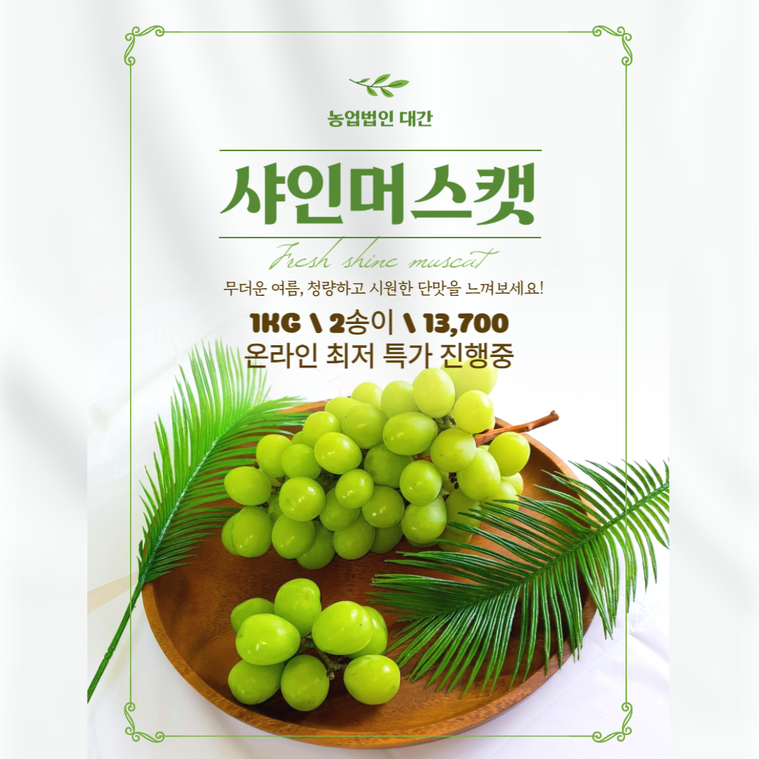 믿고 먹는 꿀맛 고당도 샤인머스켓 실속형 1kg 2수 산지 당일수확 선물용 제철과일 : 대간