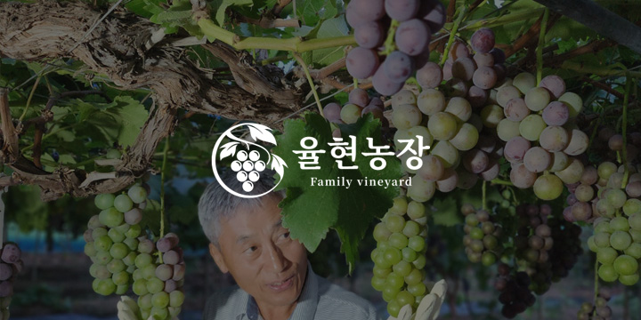 [추석 명절 선물 Set] 율현농장 포도(샤인머스켓+거봉+자옥) 2Kg 세트 : 율현농장