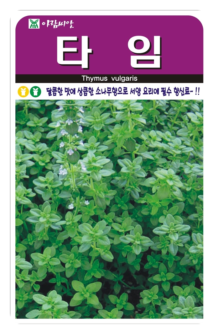 타임 허브씨앗 200립 타임씨 허브씨 아람종묘 : 씨앗대장