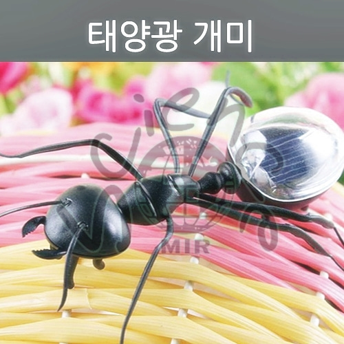 태양광개미 : 스쿨케어미르사이언스
