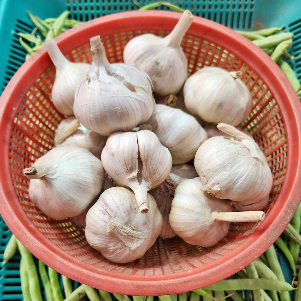 [금천구 배달] 품질 좋은 마늘 400g [별빛남문 오빠상회] : 동네시장 장보기