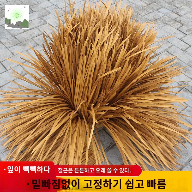 펜션 인조볏짚 카페 해변 지붕장식 원두막 초가집 : HILLZO-LYU