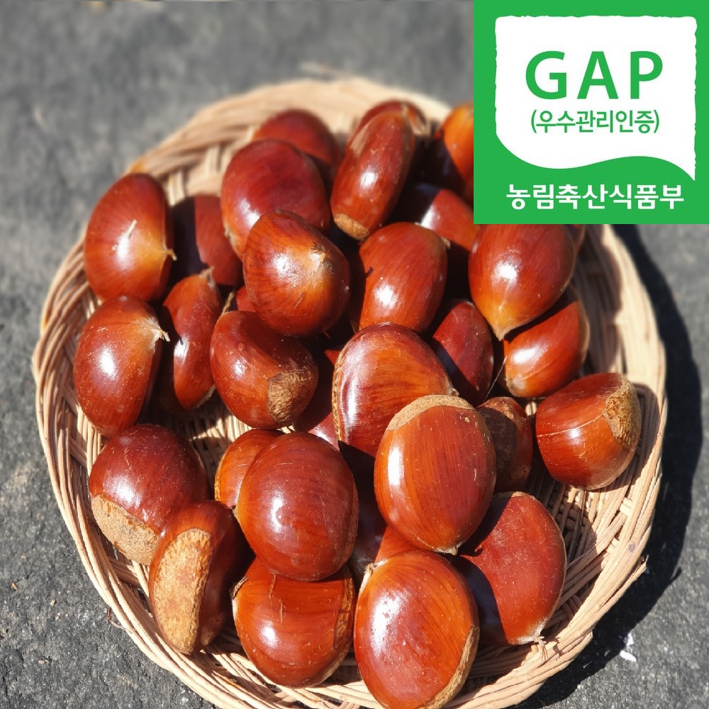 2024년 햇옥광밤 햇밤 2kg/4kg 맛있는 청양 칠갑산알밤 GAP인증 : 은골구기자마을
