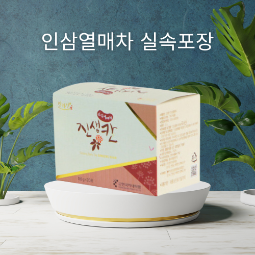 진생칸 인삼열매차 1박스 (20개입) 진생베리 건강차 전통차 : 한국지네틱바이오팜