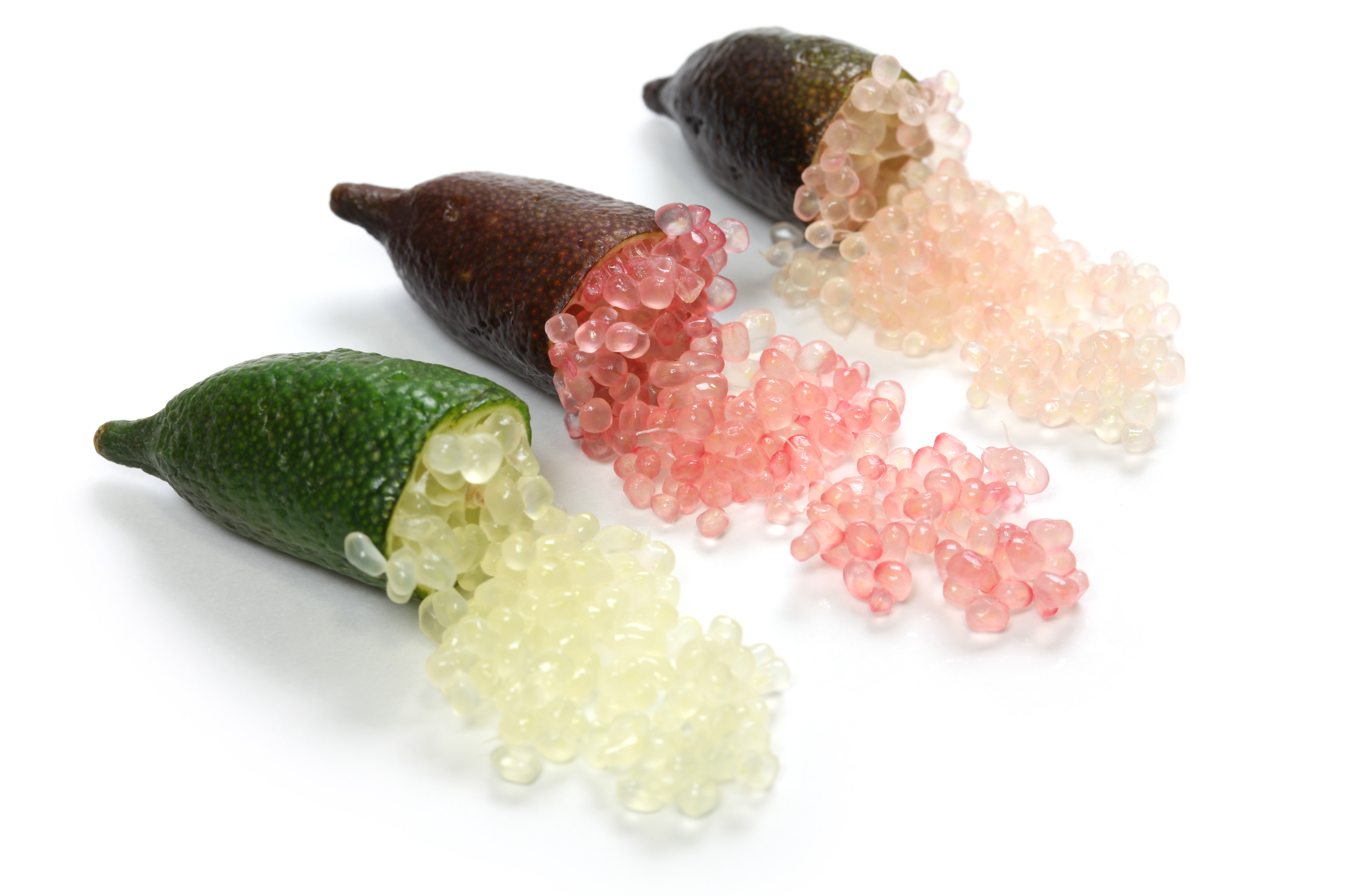 핑거라임 열대과일 케비어라임 이색 과일 100g 200g 1kg : 보트레푸드