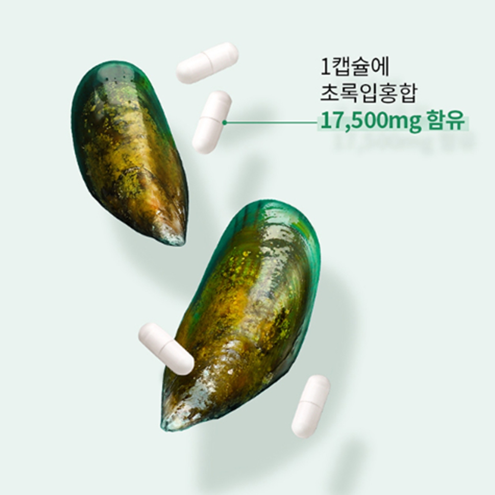 엔젯오리진 뉴질랜드 초록입홍합 17500 비타민D 100캡슐 : 유니스크루