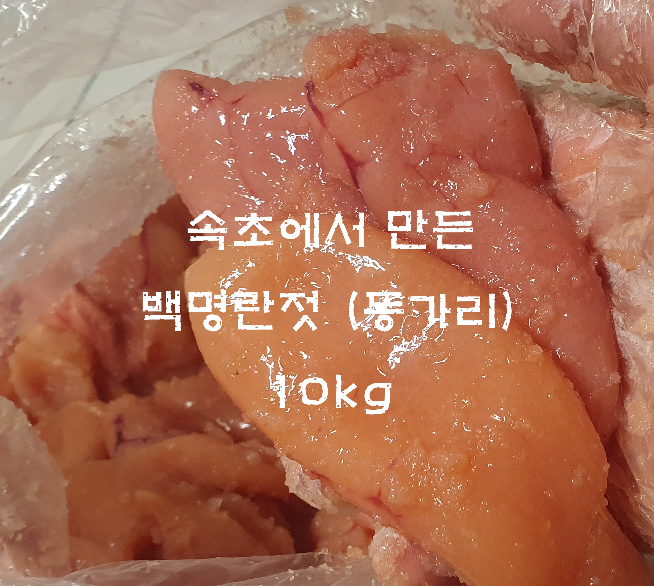 속초 백명란젓(특동) 백명란 10kg 젓갈반찬 밥도둑 밑반찬 : 한국팔도밥상